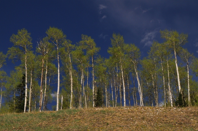 Along Highway 145
